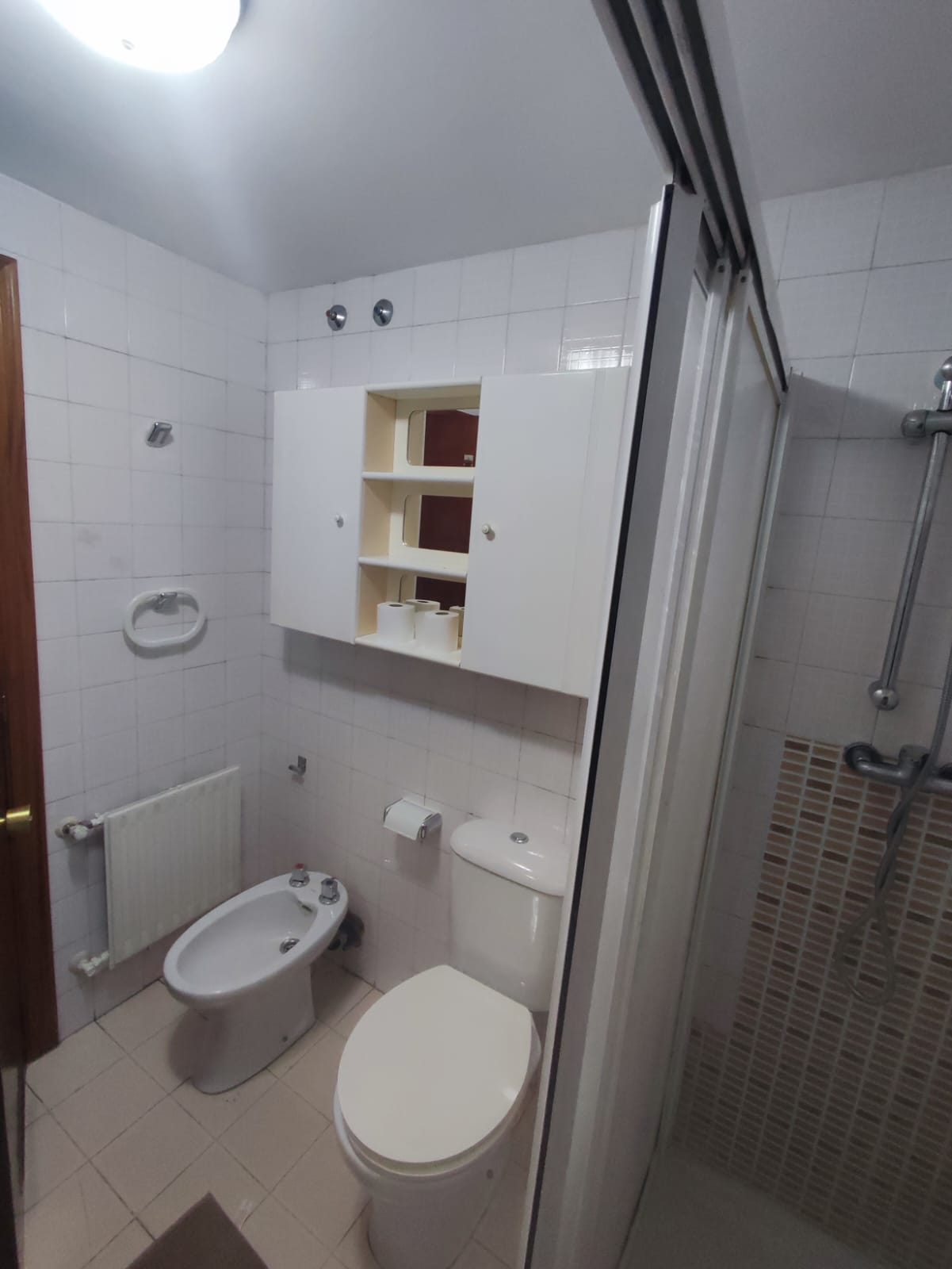 Baño antes de la reforma